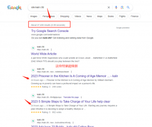 Google-Index-for-Spam