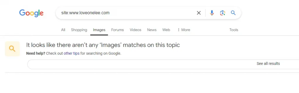 google search for image index